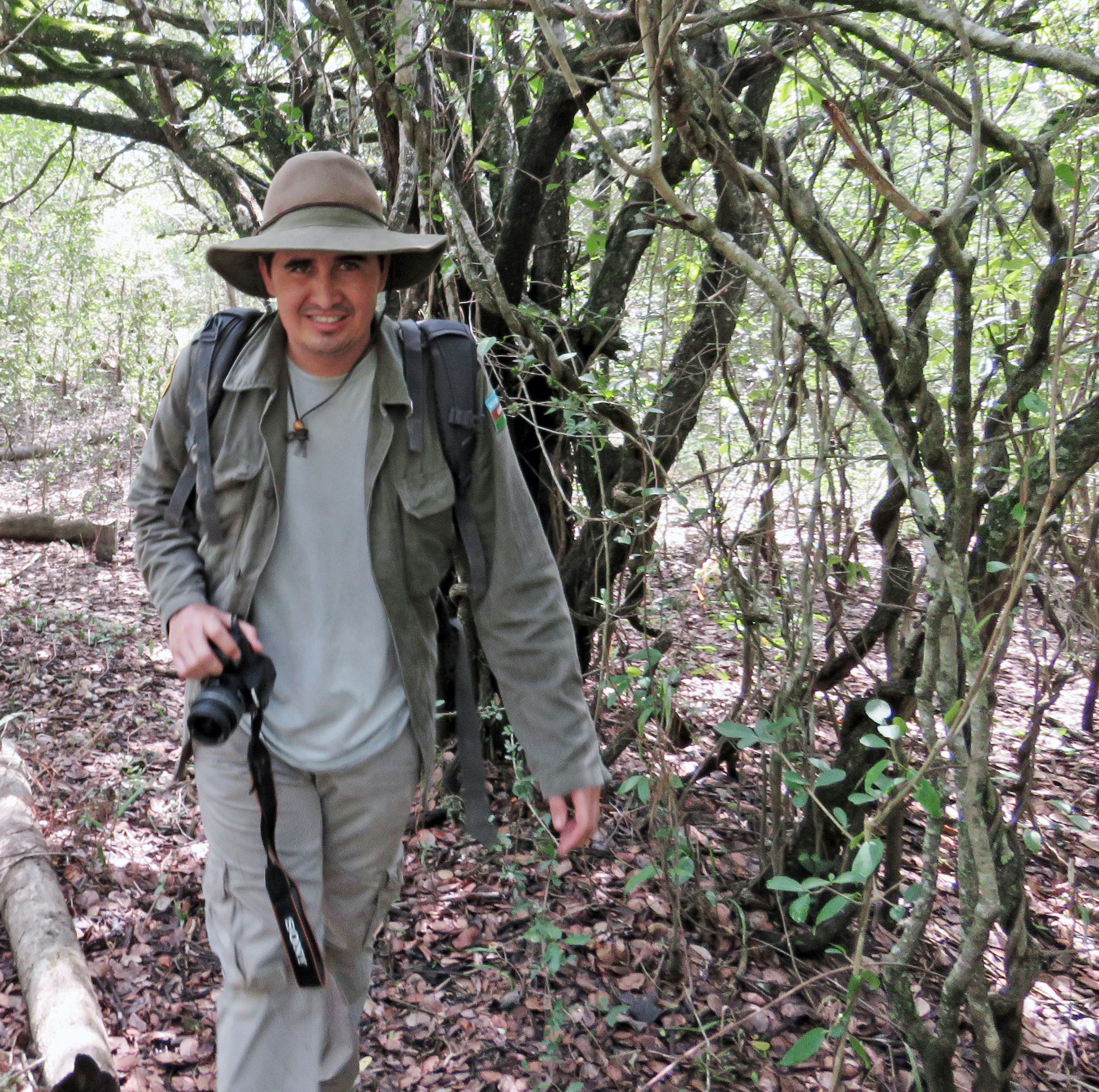 Following jaguar tracks in the forest