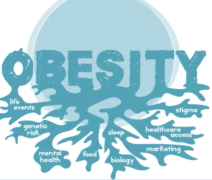 Obesity of contributing factors to obesity