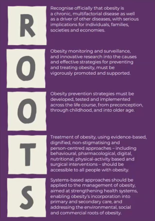 Graphic of root causes of obesity