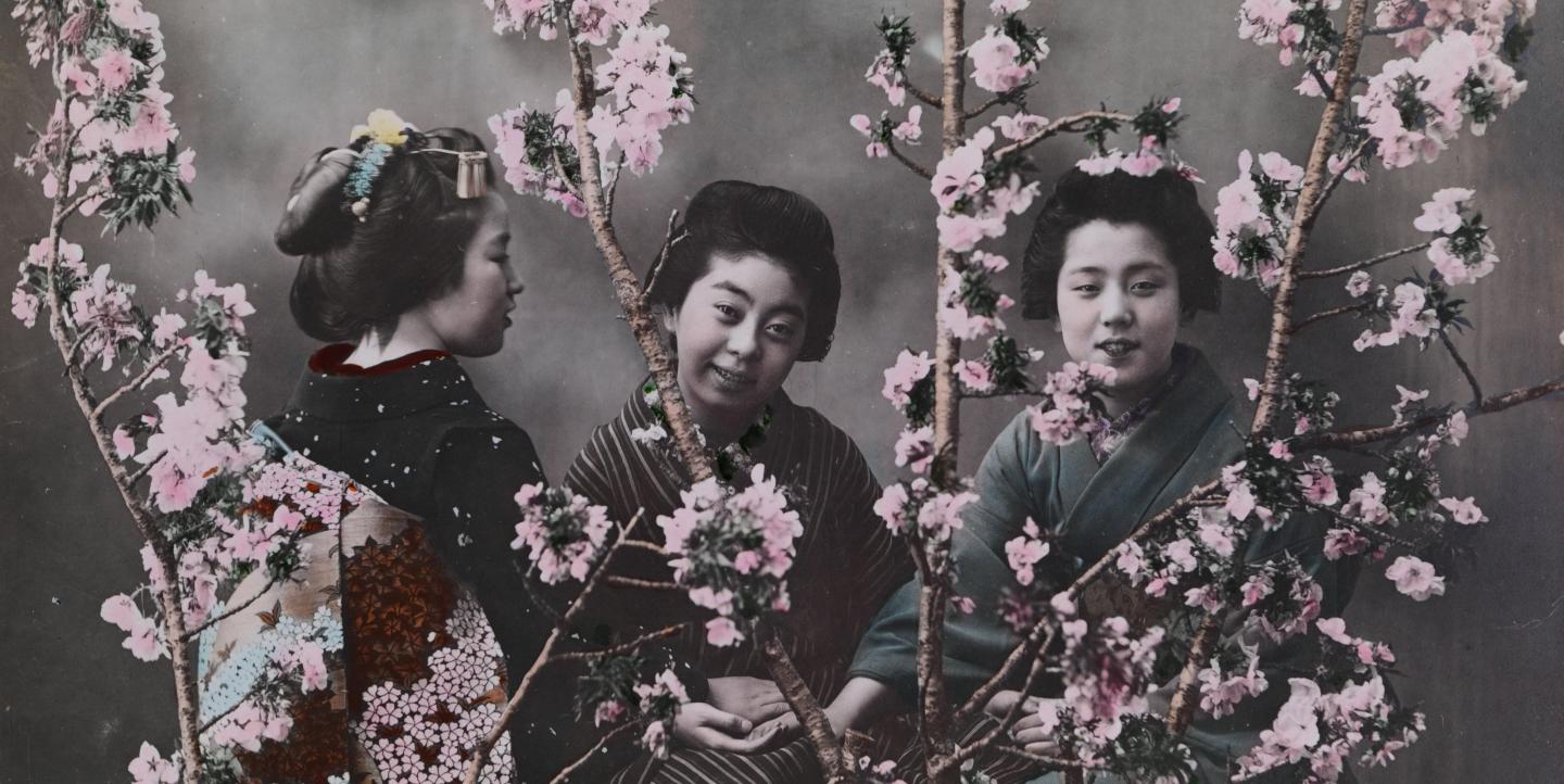 Três garotas de quimono com flores de cerejeira.