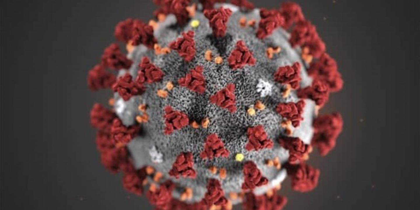 تصویر میکروسکوپی از ویروس کووید-۱۹ (کرونا)، عکس از وبسایت خبرگزاری تسنیم 