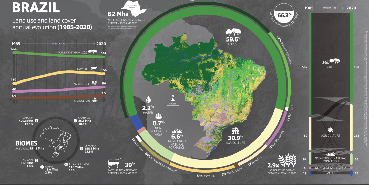 Gráfico sobre a questão ambiental no Brasil