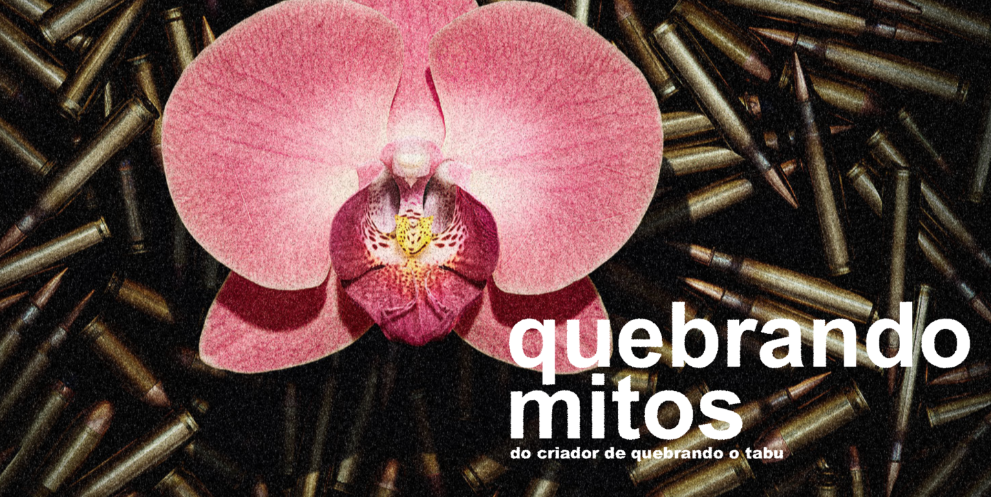 Logotipo del documental con flor y balas