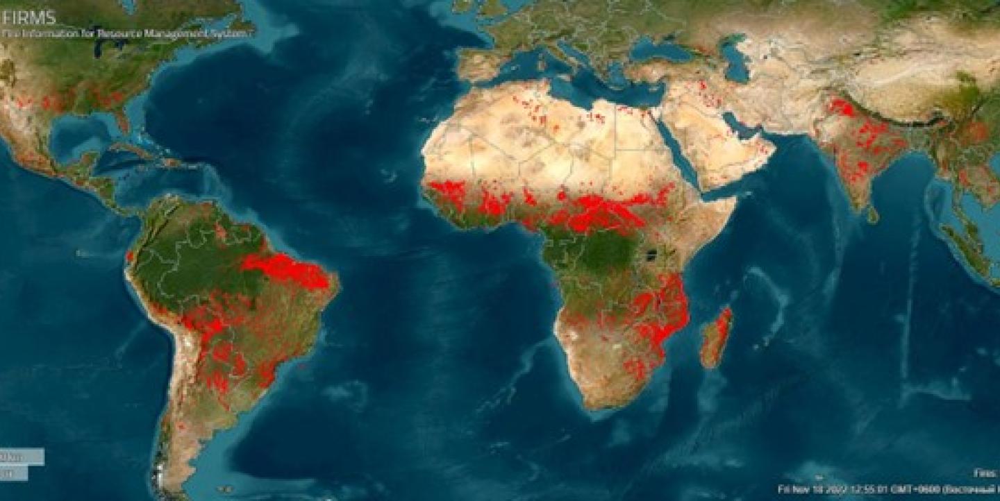 Фото: Global map, скриншот сервиса Fire Information for Resource Management System. 