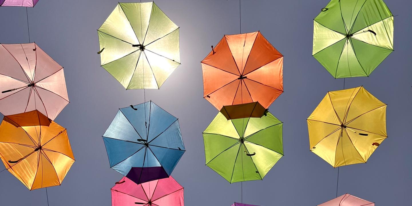 Des parapluies de toutes les couleurs 