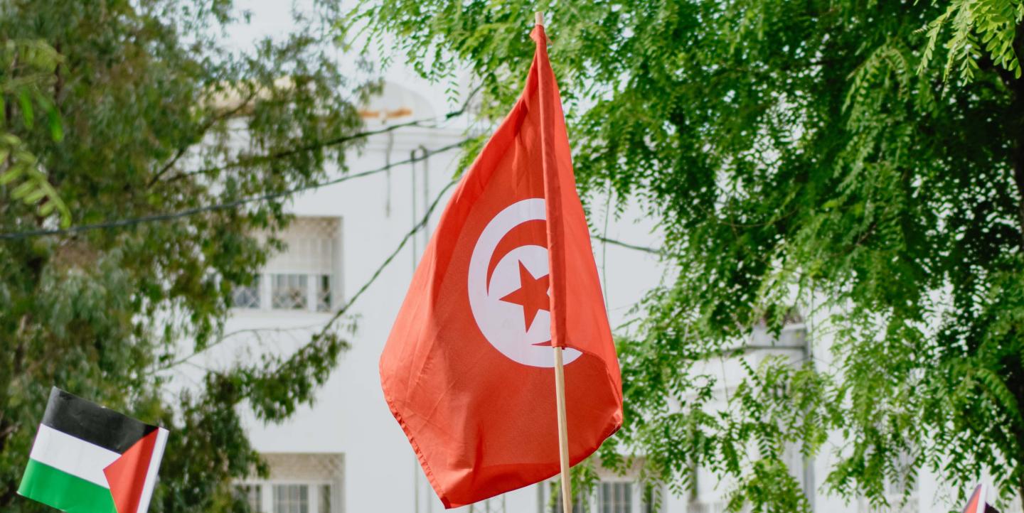 Mano sostiene la bandera tunecina