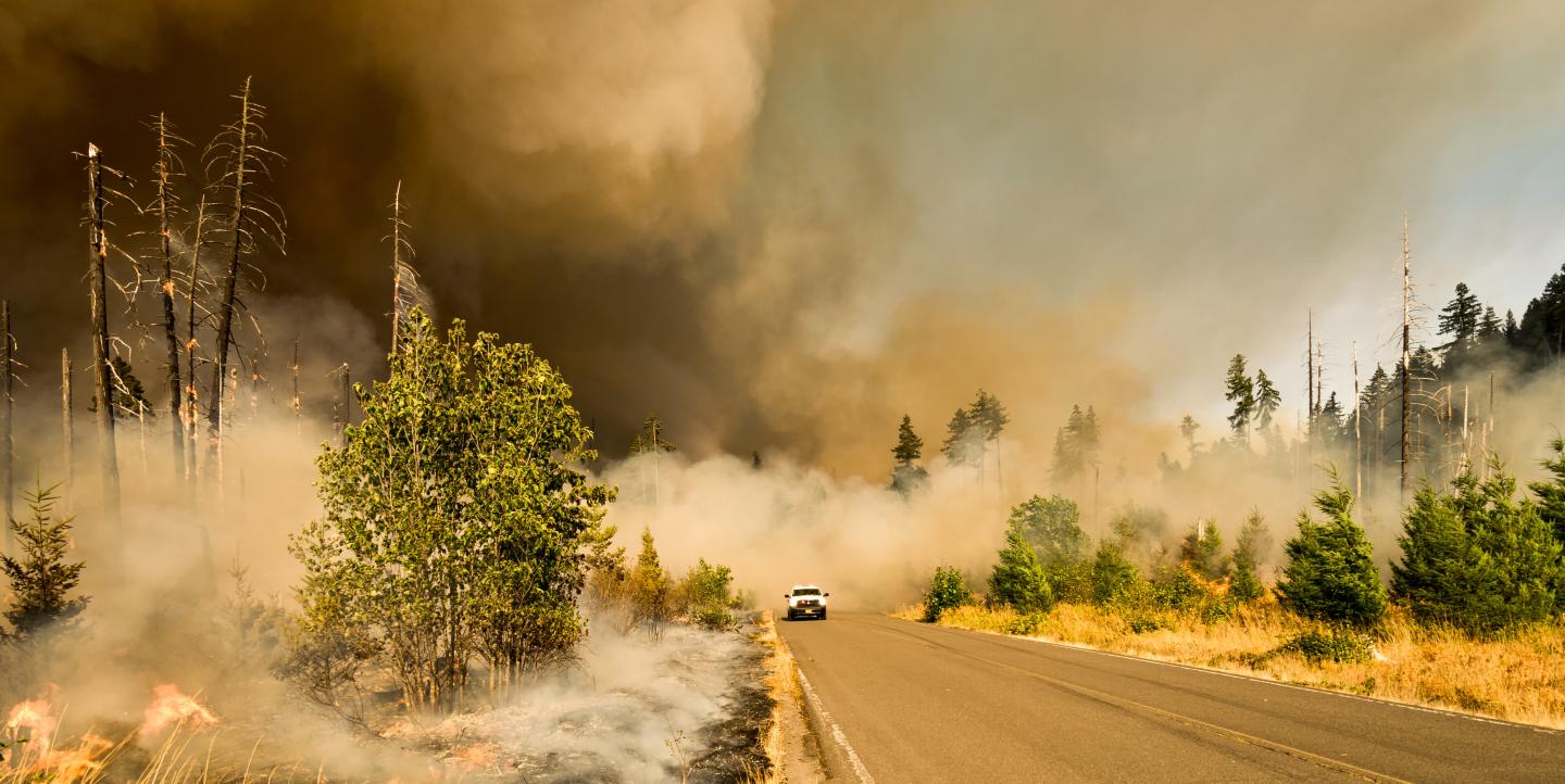 Car driving on a road during a forest fire