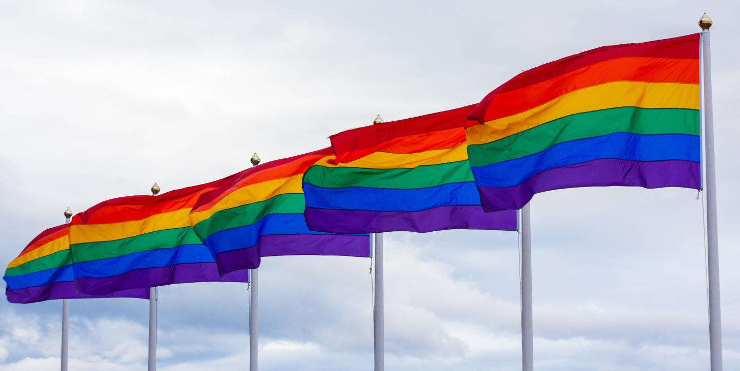 LGBTQ flags in a row