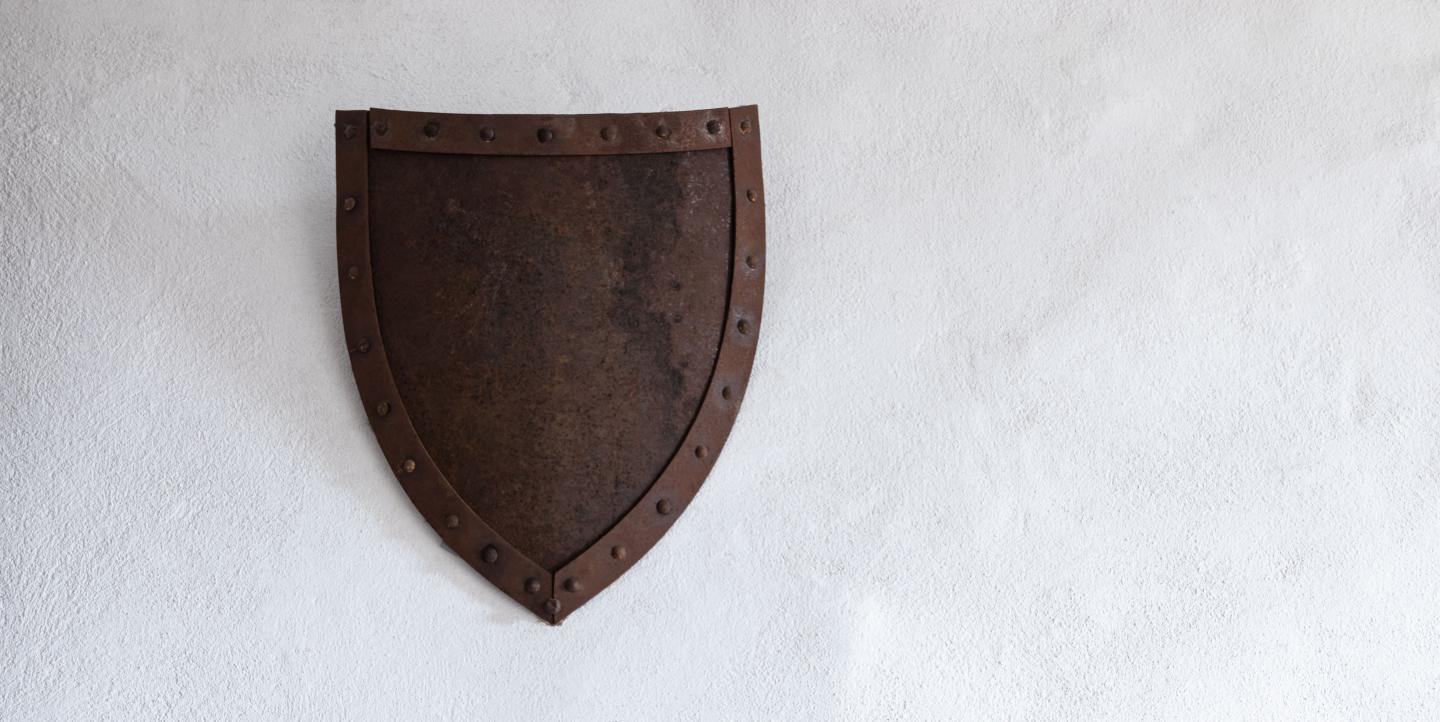 Brown shield on a white wall