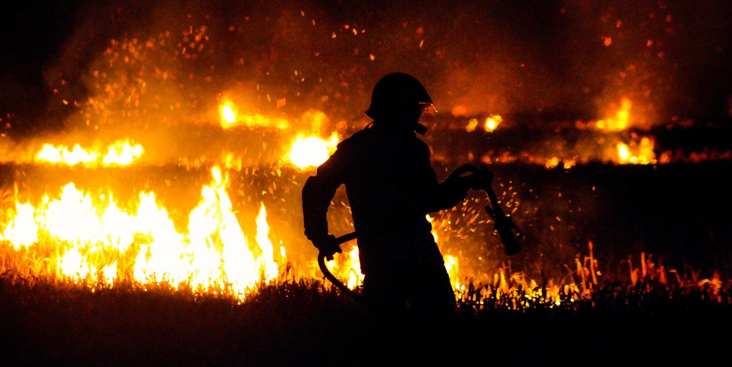 Bombero apagando incendio forestal