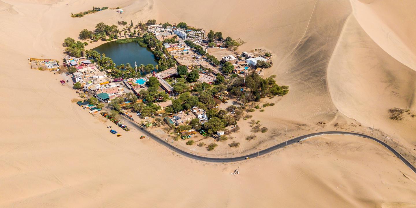 Un oasis dans le désert