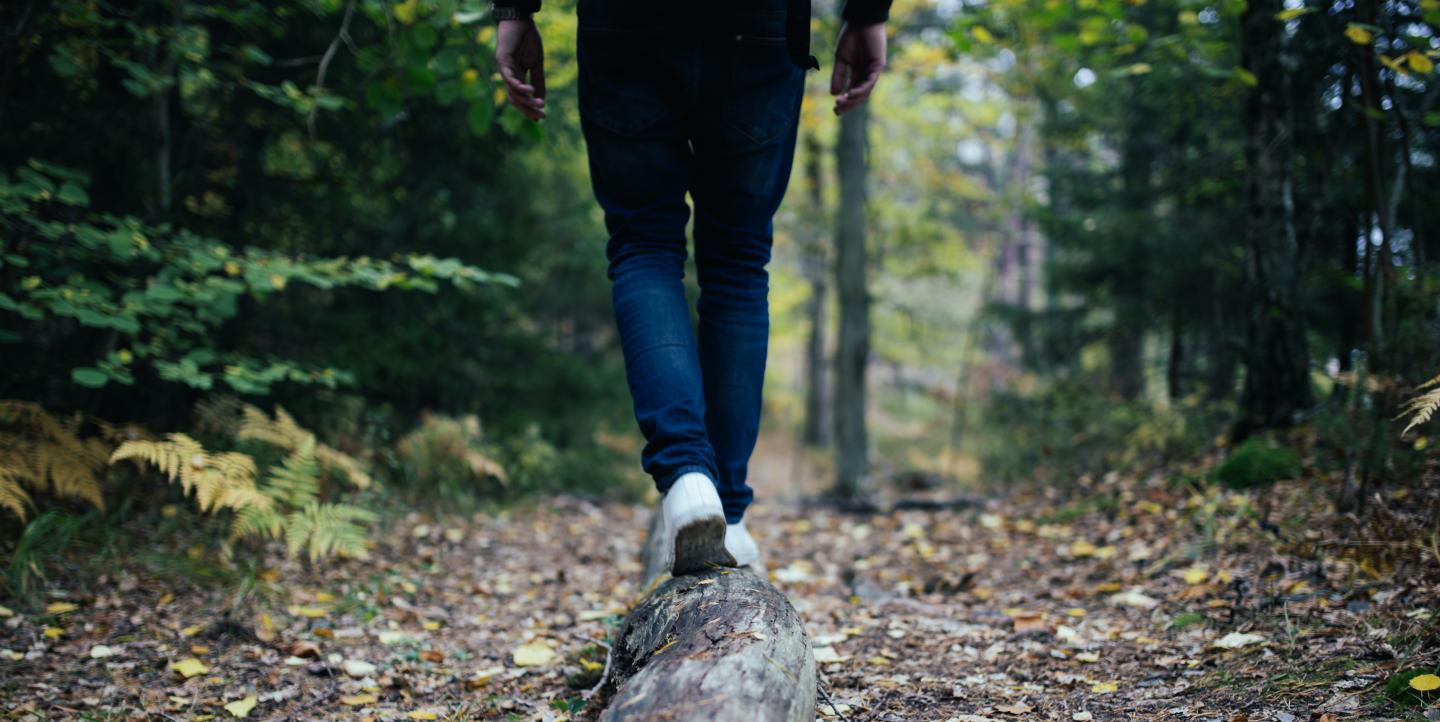 Une personne marche en équilibre sur un tronc d'arbre