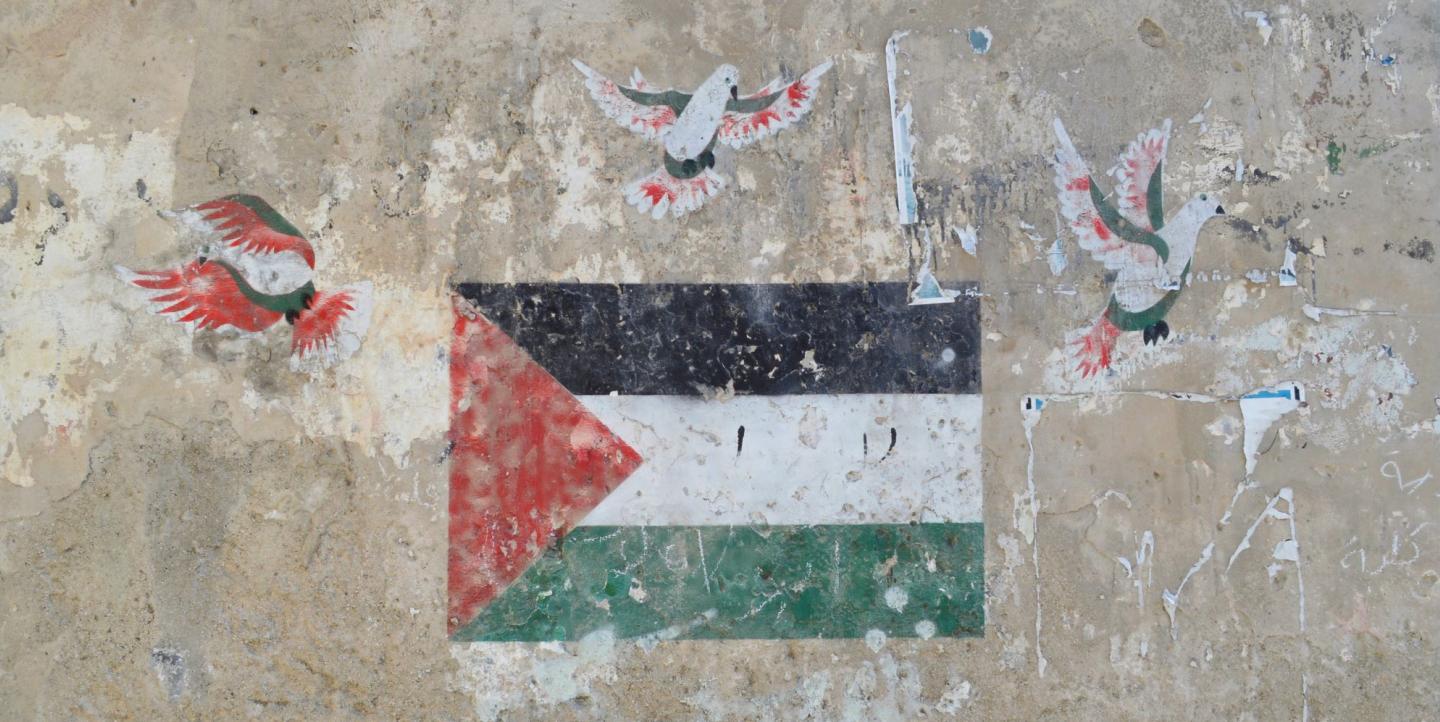 صورة لعلم فلسطين