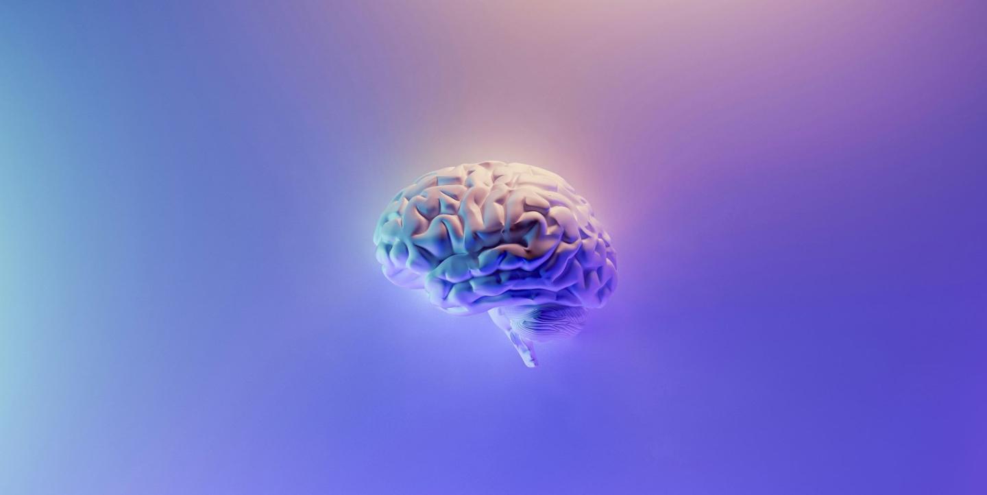 A brain on a blue and purple background