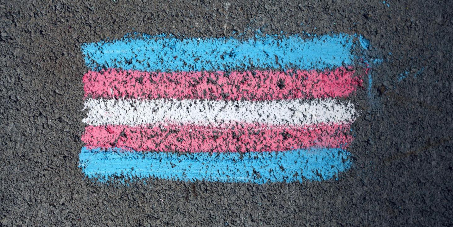 Trans flag