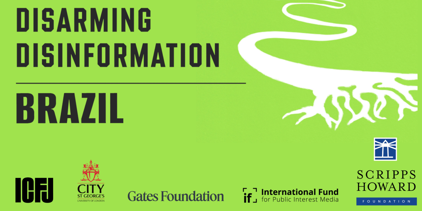 Disarming Disinformation report cover image