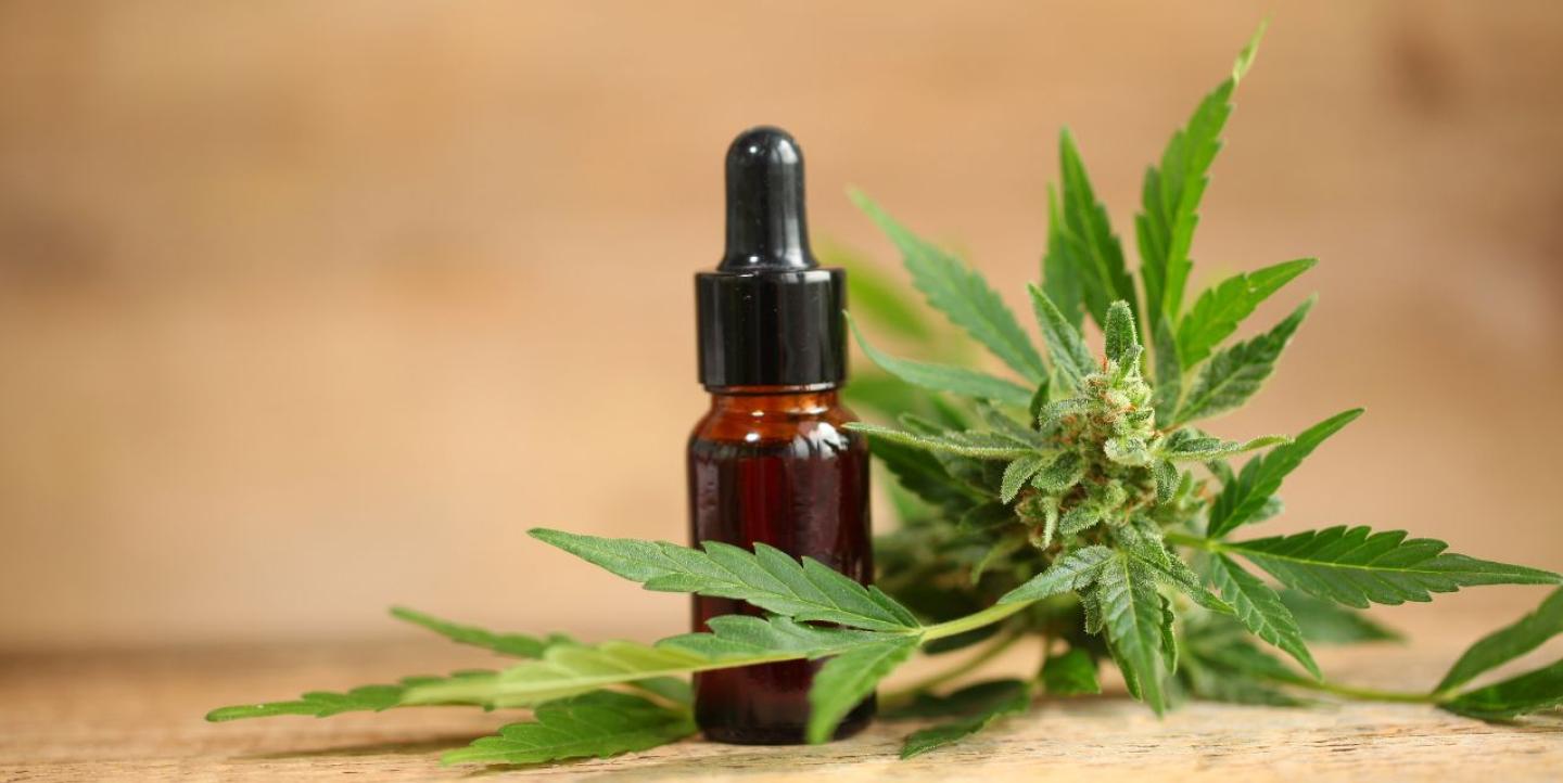 cannabis medicinal