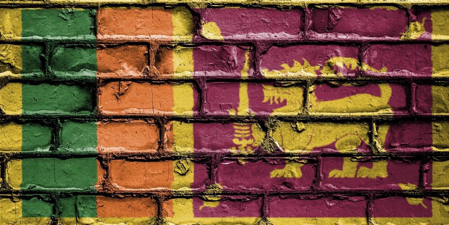 Sri Lanka flag on brick background