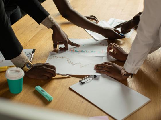 Collègues montrant des données et graphiques