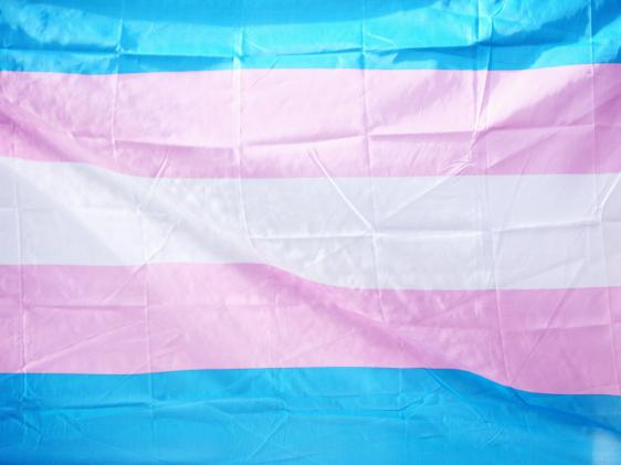 Trans flag