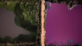 River running purple