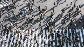 Humans in crosswalk