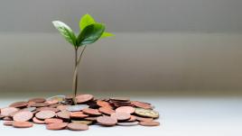 Photo of a plant growing from a pile of coins.