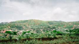 فريتاون، سيراليون