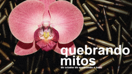 Documentary logo with flower and bullets