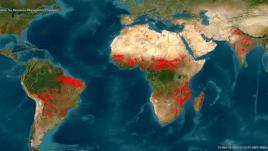 Фото: Global map, скриншот сервиса Fire Information for Resource Management System. 