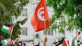 Hand holding the Tunisian flag
