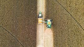 Overhead view of a tractor in a field of grain
