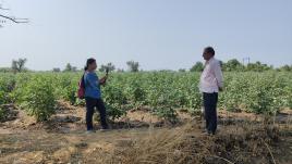 Singh interviewing a cotton farmer.