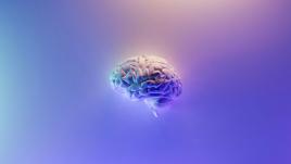 A brain on a blue and purple background