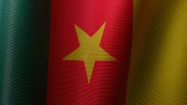 Drapeau du Cameroun