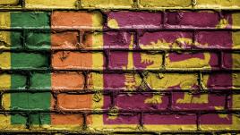Sri Lanka flag on brick background