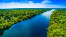 Amazonia