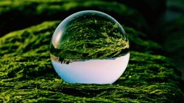 Green orb